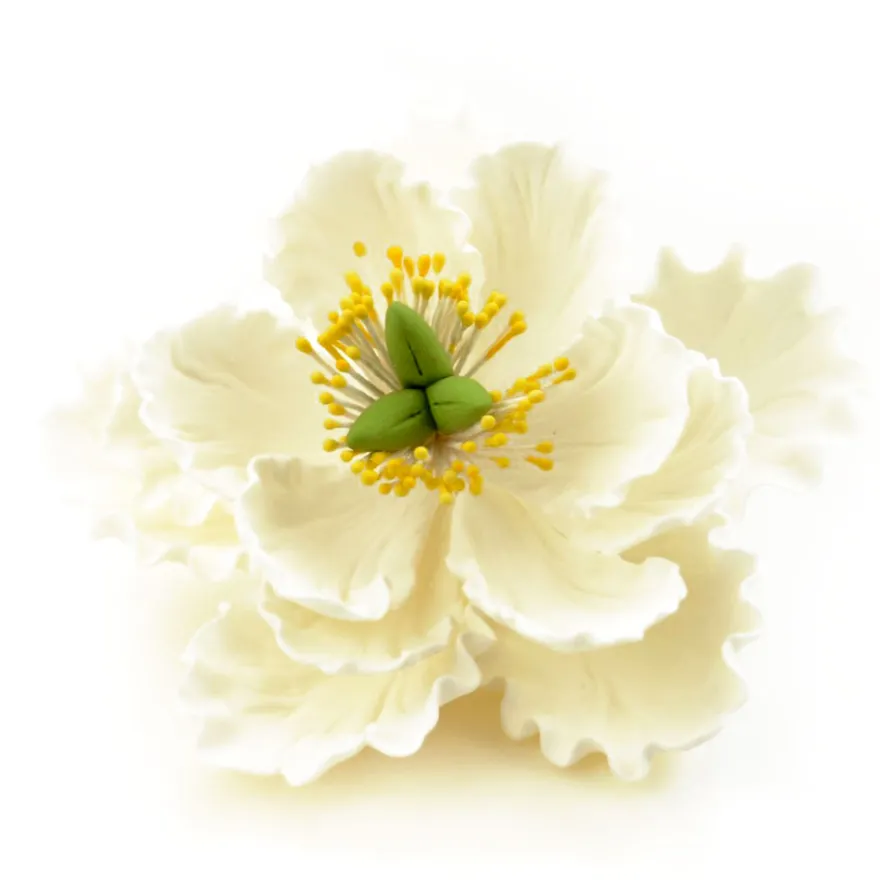 CM Zuckerblumen Peony White - Pfingstrose weiß 11,4cm
