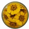 Essbare Blumen - getrocknete gelbe Margeriten - 15 Stück