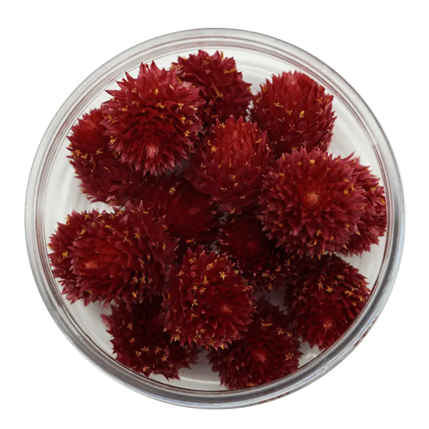 Essbare Blumen Kugelamarant getrocknet - Rot