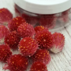 Essbare Blumen Kugelamarant getrocknet - Rot