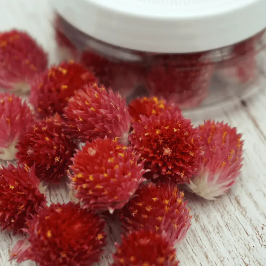 Essbare Blumen Kugelamarant getrocknet - Rot