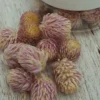 Essbare Blumen Kugelamarant getrocknet - Rosa
