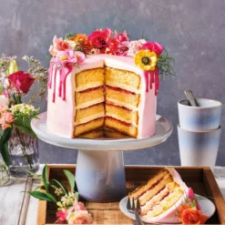 FunCakes Mix für Biskuit 4Kg
