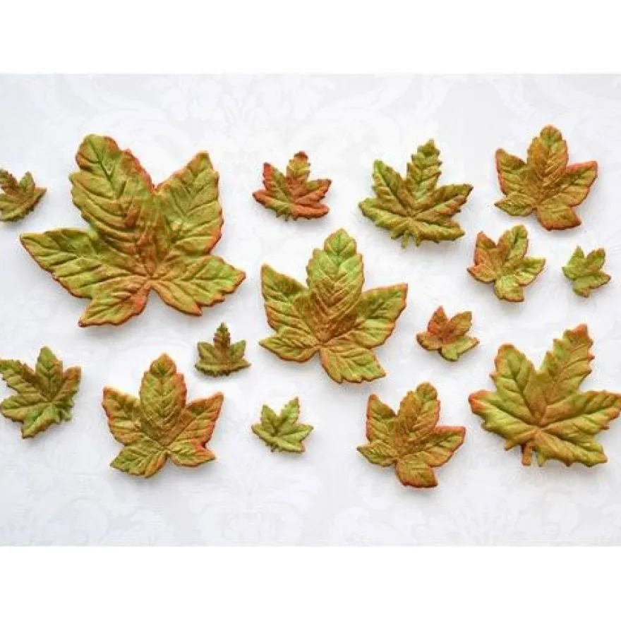 Katy Sue Mould - Maple Leaves