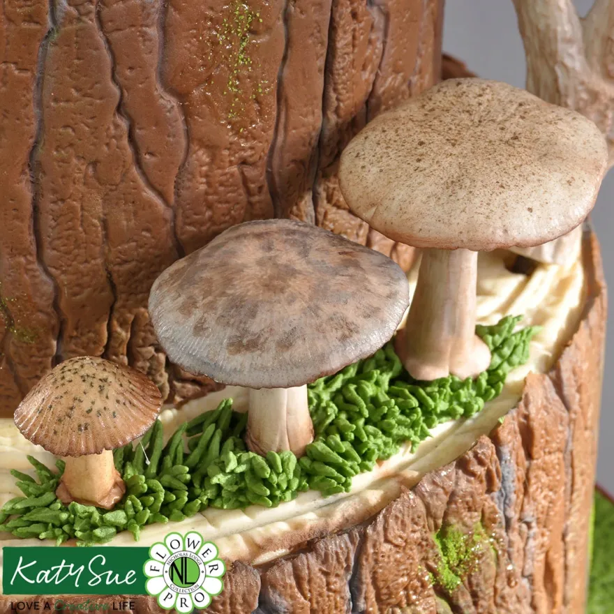 Katy Sue Mould & Veiner Giftpilze & Pilze