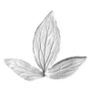 SK Blatt Veiner - Pfingsrose Triple