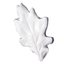 SK- GI Blatt Veiner Eiche 7,0cm L