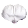 SK Veiner Sweet Pea - Edelwicke