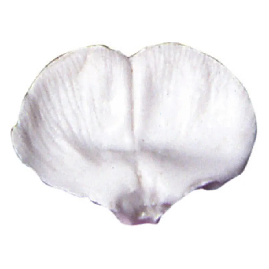 SK Veiner Sweet Pea - Edelwicke