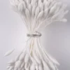 Weiße Blütenpollen - Spitz
