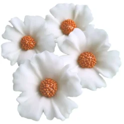 Zuckerblumen Kornblume 4 Stück - Weiss