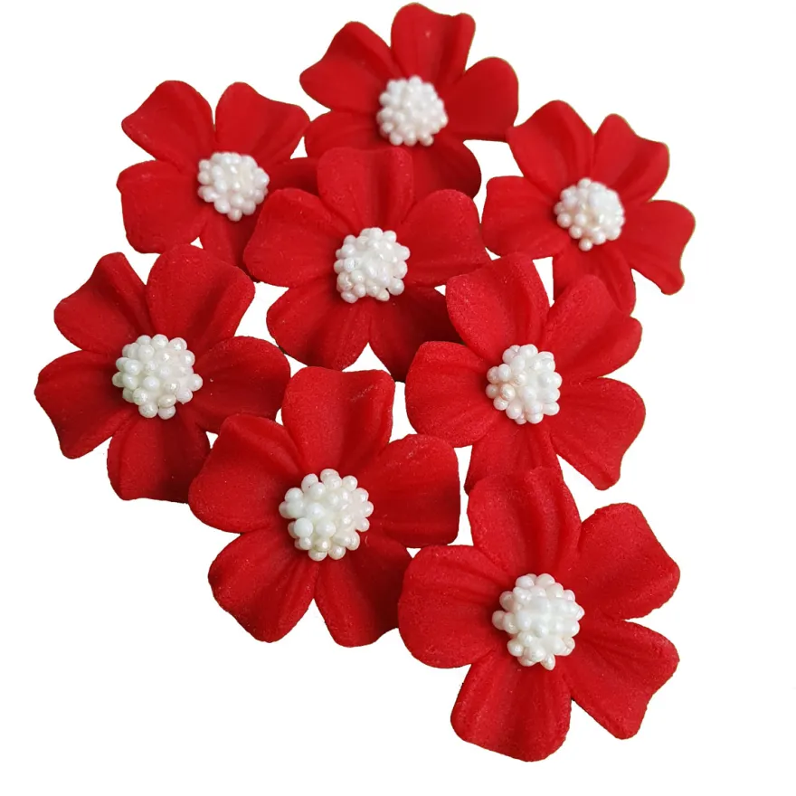 Zuckerblumen Vergissmeinnicht 8 Stück - Rot