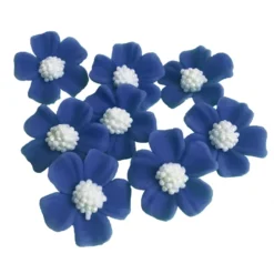 Zuckerblumen Vergissmeinnicht 8 Stück - Nachtblau