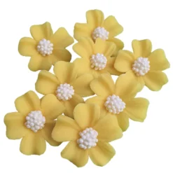 Zuckerblumen Vergissmeinnicht 8 Stück - Gelb