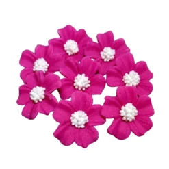Zuckerblumen Vergissmeinnicht 8 Stück - Fuchsia / Pink