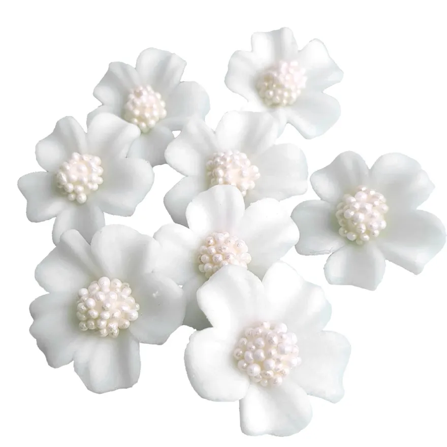 Zuckerblumen Vergissmeinnicht 8 Stück - Weiss / Weiss